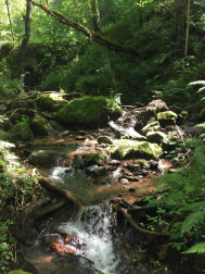 Fotos de la primavera enviadas por los lectores de diariodenavarra.es