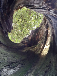 Fotos de la primavera enviadas por los lectores de diariodenavarra.es