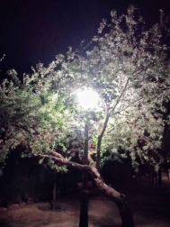 Fotos de la primavera enviadas por los lectores de diariodenavarra.es