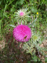 Fotos de la primavera enviadas por los lectores de diariodenavarra.es