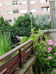 Fotos de la primavera enviadas por los lectores de diariodenavarra.es