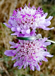 Fotos de la primavera enviadas por los lectores de diariodenavarra.es