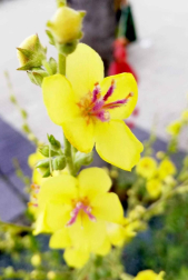 Fotos de la primavera enviadas por los lectores de diariodenavarra.es