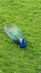 Fotos de la primavera enviadas por los lectores de diariodenavarra.es