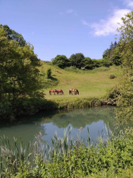 Fotos de la primavera enviadas por los lectores de diariodenavarra.es