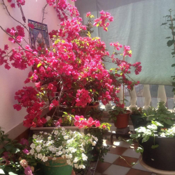 Fotos de la primavera enviadas por los lectores de diariodenavarra.es