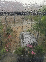 Fotos de la primavera enviadas por los lectores de diariodenavarra.es