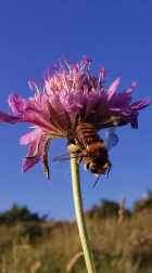 Fotos de la primavera enviadas por los lectores de diariodenavarra.es