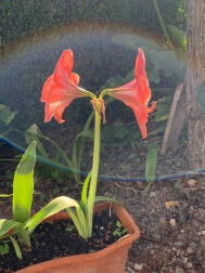 Fotos de la primavera enviadas por los lectores de diariodenavarra.es