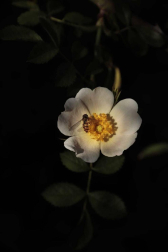 Fotos de la primavera enviadas por los lectores de diariodenavarra.es