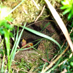 Fotos de la primavera enviadas por los lectores de diariodenavarra.es