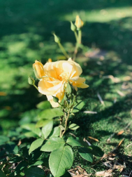 Fotos de la primavera enviadas por los lectores de diariodenavarra.es