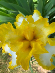 Fotos de la primavera enviadas por los lectores de diariodenavarra.es