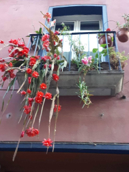 Fotos de la primavera enviadas por los lectores de diariodenavarra.es