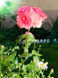 Fotos de la primavera enviadas por los lectores de diariodenavarra.es