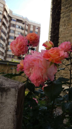 Fotos de la primavera enviadas por los lectores de diariodenavarra.es