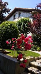Fotos de la primavera enviadas por los lectores de diariodenavarra.es