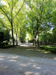 Fotos de la primavera enviadas por los lectores de diariodenavarra.es