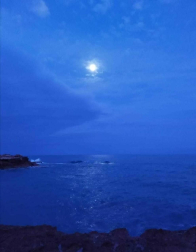 Fotos de la primavera enviadas por los lectores de diariodenavarra.es