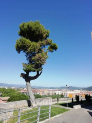 Fotos de la primavera enviadas por los lectores de diariodenavarra.es