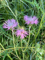 Fotos de la primavera enviadas por los lectores de diariodenavarra.es