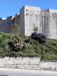 Fotos de la primavera enviadas por los lectores de diariodenavarra.es