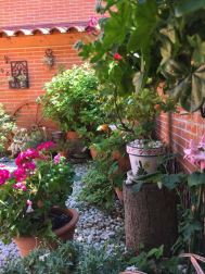 Fotos de la primavera enviadas por los lectores de diariodenavarra.es