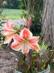 Fotos de la primavera enviadas por los lectores de diariodenavarra.es