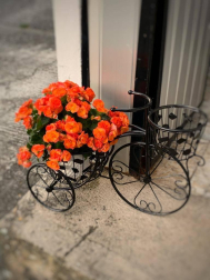 Fotos de la primavera enviadas por los lectores de diariodenavarra.es