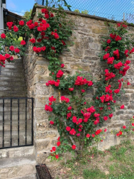 Fotos de la primavera enviadas por los lectores de diariodenavarra.es