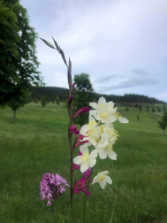 Fotos de la primavera enviadas por los lectores de diariodenavarra.es