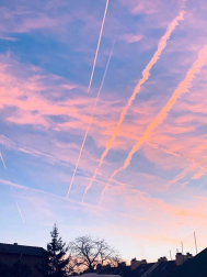 Fotos de la primavera enviadas por los lectores de diariodenavarra.es
