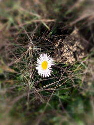 Fotos de la primavera enviadas por los lectores de diariodenavarra.es
