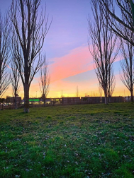 Fotos de la primavera enviadas por los lectores de diariodenavarra.es