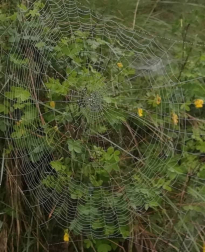 Fotos de la primavera enviadas por los lectores de diariodenavarra.es