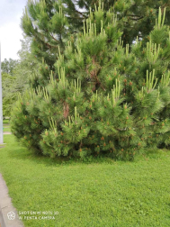 Fotos de la primavera enviadas por los lectores de diariodenavarra.es