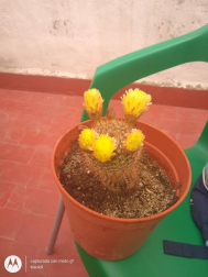 Fotos de la primavera enviadas por los lectores de diariodenavarra.es