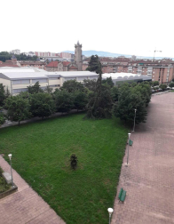 Fotos de la primavera enviadas por los lectores de diariodenavarra.es