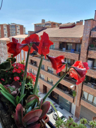 Fotos de la primavera enviadas por los lectores de diariodenavarra.es