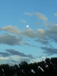 Fotos de la primavera enviadas por los lectores de diariodenavarra.es