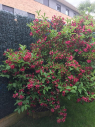 Fotos de la primavera enviadas por los lectores de diariodenavarra.es