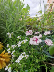 Fotos de la primavera enviadas por los lectores de diariodenavarra.es