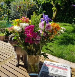 Fotos de la primavera enviadas por los lectores de diariodenavarra.es