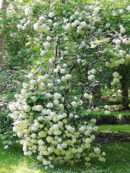 Fotos de la primavera enviadas por los lectores de diariodenavarra.es