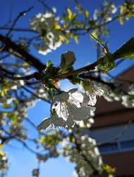 Fotos de la primavera enviadas por los lectores de diariodenavarra.es