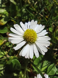 Fotos de la primavera enviadas por los lectores de diariodenavarra.es