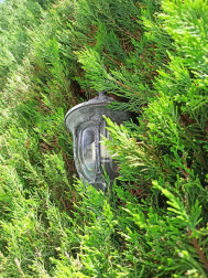 Fotos de la primavera enviadas por los lectores de diariodenavarra.es