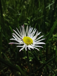 Fotos de la primavera enviadas por los lectores de diariodenavarra.es