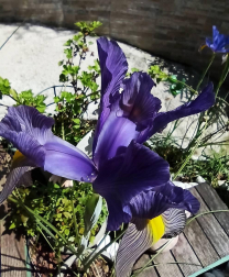 Fotos de la primavera enviadas por los lectores de diariodenavarra.es