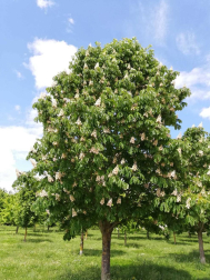 Fotos de la primavera enviadas por los lectores de diariodenavarra.es